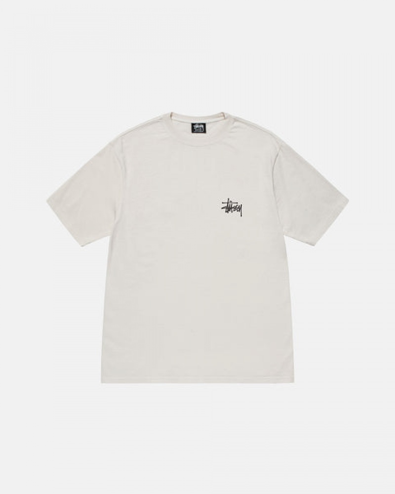 Beige Stussy Basic Stussy Tee Women T Shirt | ASM-7757