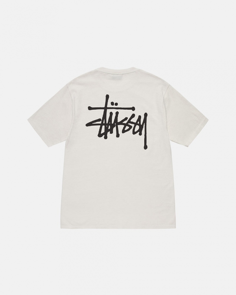 Beige Stussy Basic Stussy Tee Women T Shirt | ASM-7757