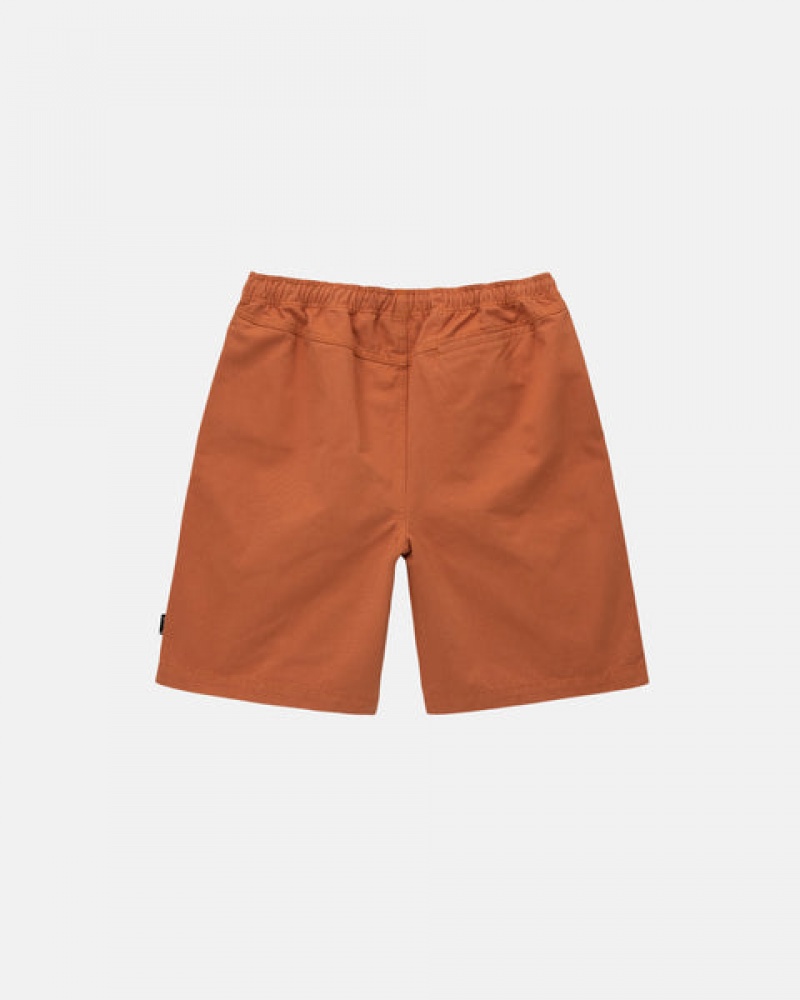 Brown Stussy Brushed Beach Short Men Shorts | JQC-8542