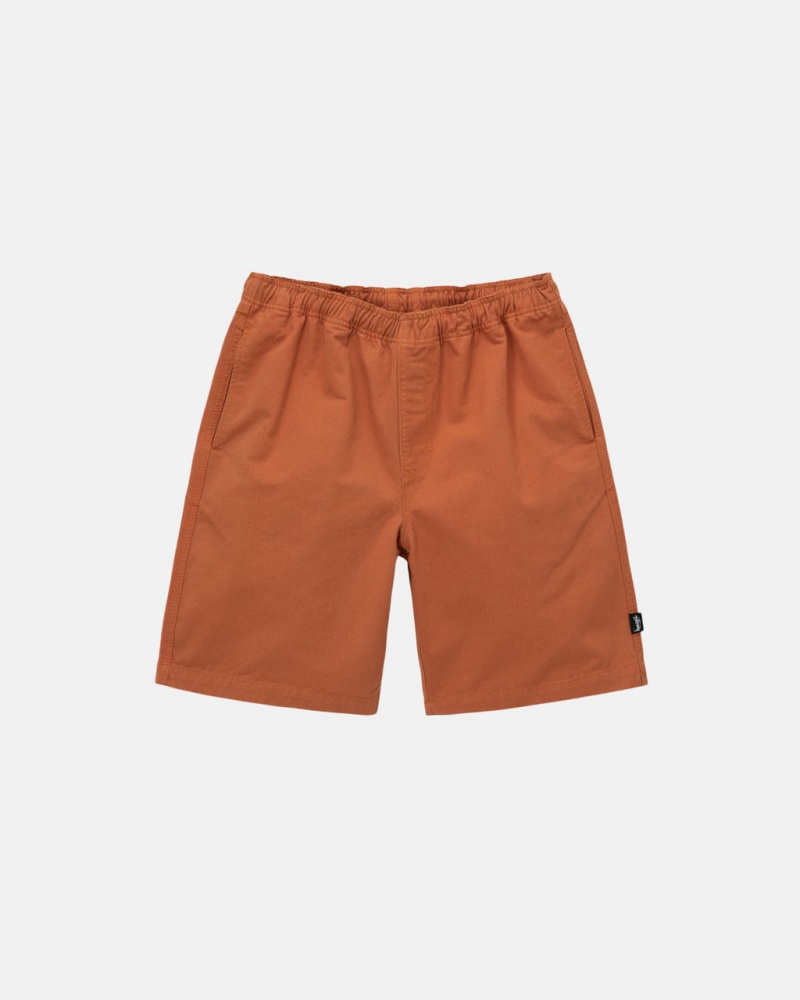 Brown Stussy Brushed Beach Short Men Shorts | JQC-8542