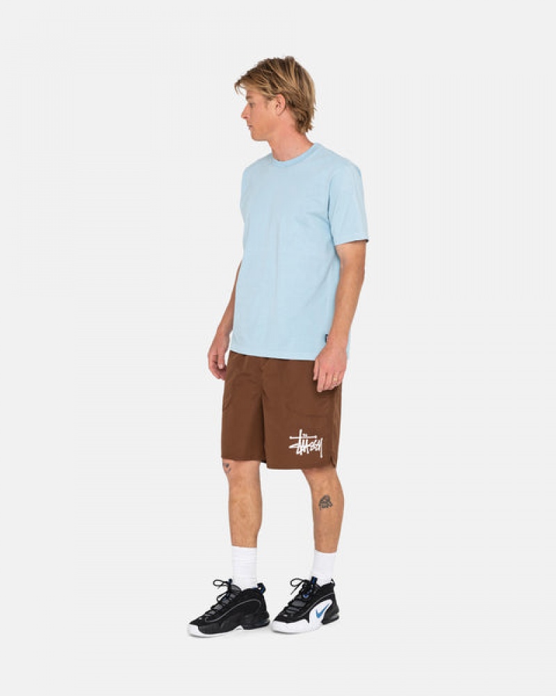 Coffee Stussy Big Basic Water Short Men Swimwear | DMC-6987