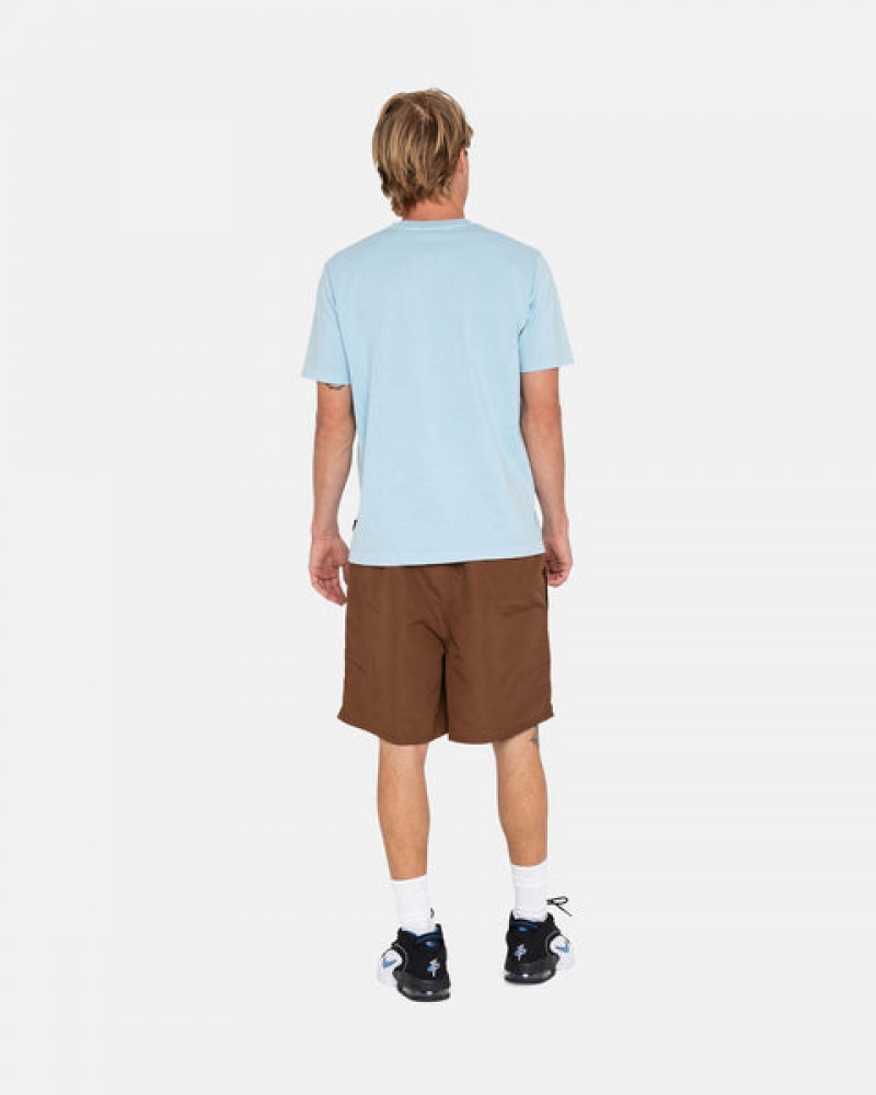 Coffee Stussy Big Basic Water Short Men Swimwear | DMC-6987