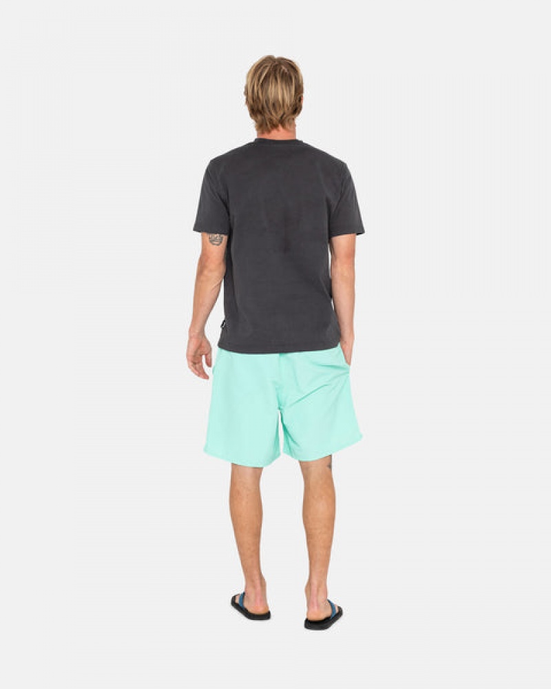 Light Turquoise Stussy Stock Water Short Men Swimwear | BGT-3032