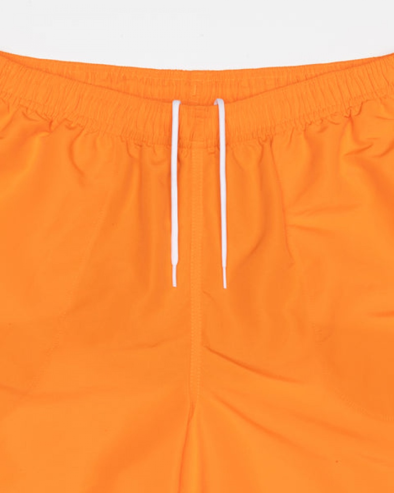 Orange Stussy Water Short Big Basic Men Shorts | OIF-4781