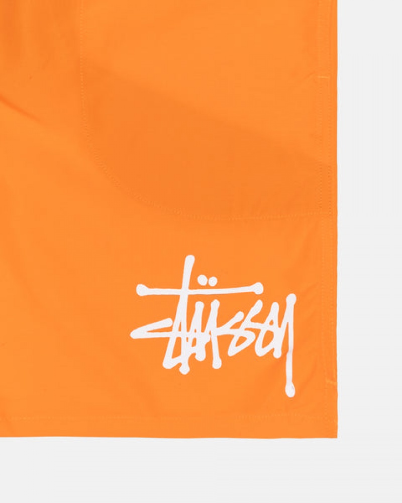 Orange Stussy Water Short Big Basic Men Shorts | OIF-4781